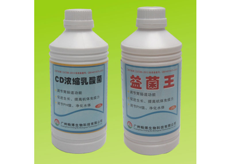 广州畅博生物科技有限公司对虾养殖